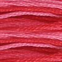 DMC 107 Variegated Dusty Rose embroidery floss skein
