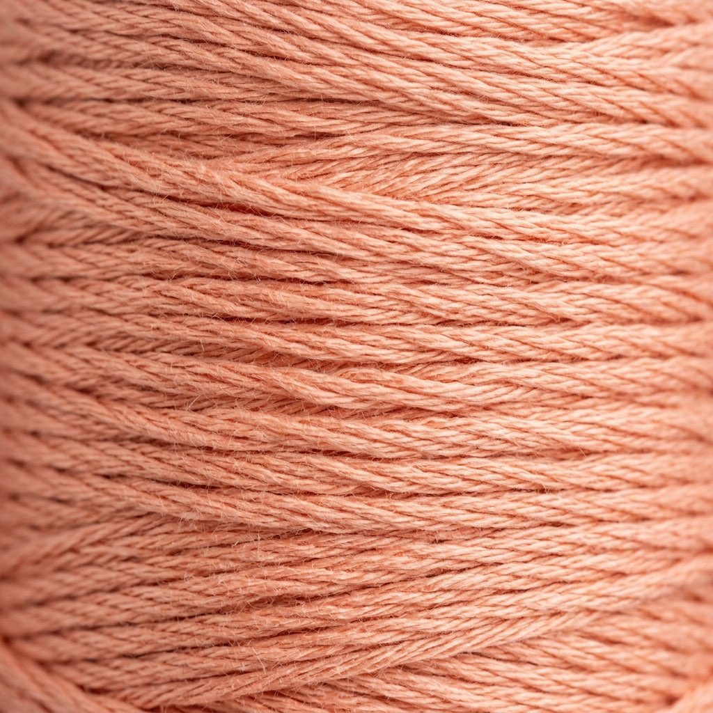 DMC 200 Very Light Salmon embroidery floss skein
