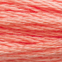 DMC 3341 Apricot embroidery floss skein