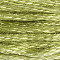 DMC 3348 Light Yellow Green embroidery floss skein