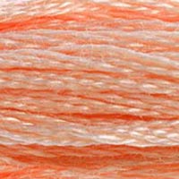 DMC 353 Peach embroidery floss skein