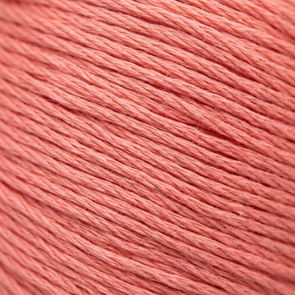 DMC 3700 Light Salmon embroidery floss skein