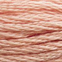 DMC 3771 Ultra Very Light Terra Cotta embroidery floss skein