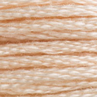 DMC 3774 Very Light Desert Sand embroidery floss skein
