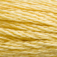 DMC 3822 Light Straw embroidery floss skein