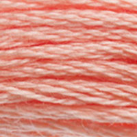 DMC 3824 Light Apricot embroidery floss skein