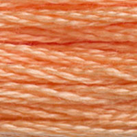 DMC 3825 Pale Pumpkin embroidery floss skein