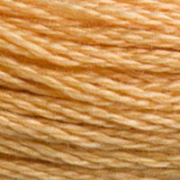 DMC 3827 Pale Golden Brown embroidery floss skein