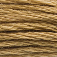 DMC 3828 Hazelnut Brown embroidery floss skein