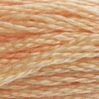 DMC 3856 Ultra Very Light Mahogany embroidery floss skein