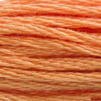 DMC 402 Very Light Mahogany embroidery floss skein