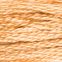 DMC 437 Light Tan embroidery floss skein