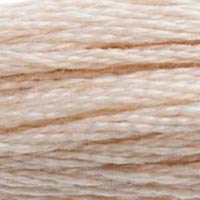 DMC 543 Ultra Very Light Beige Brown embroidery floss skein
