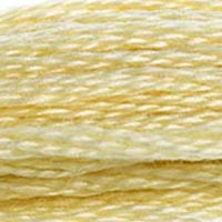 DMC 677 Very Light Old Gold embroidery floss skein
