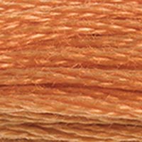 DMC 721 Medium Orange Spice embroidery floss skein