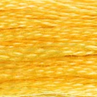 DMC 725 Topaz embroidery floss skein