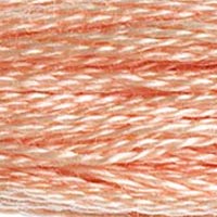 DMC 754 Light Peach embroidery floss skein