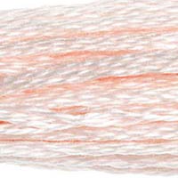 DMC 819 Light Baby Pink embroidery floss skein