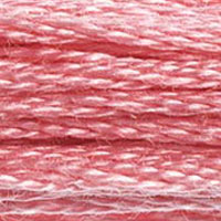 DMC 899 Medium Rose embroidery floss skein