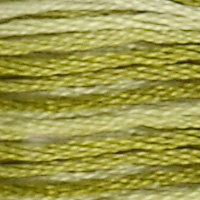 DMC 94 Variegated Nile Green embroidery floss skein