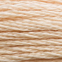 DMC 945 Tawny embroidery floss skein