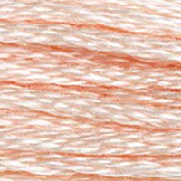 DMC 948 Very Light Peach embroidery floss skein