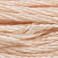 DMC 950 Light Desert Sand embroidery floss skein