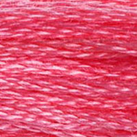 DMC 956 Geranium embroidery floss skein