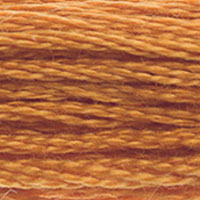 DMC 976 Medium Golden Brown embroidery floss skein